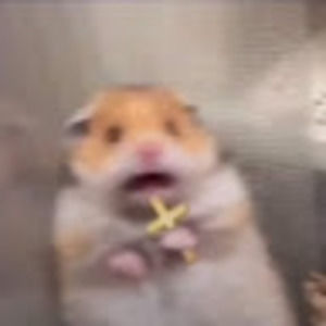 Meet your Posher, Genevieve